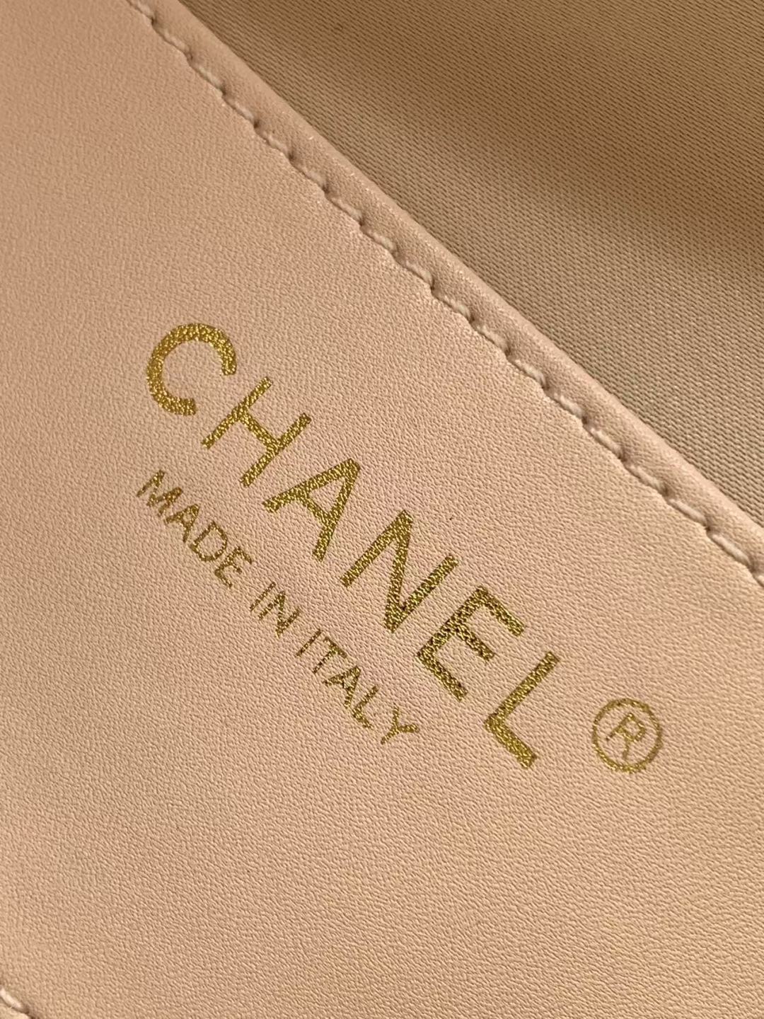 Chanel 25 Small Hobo in White
