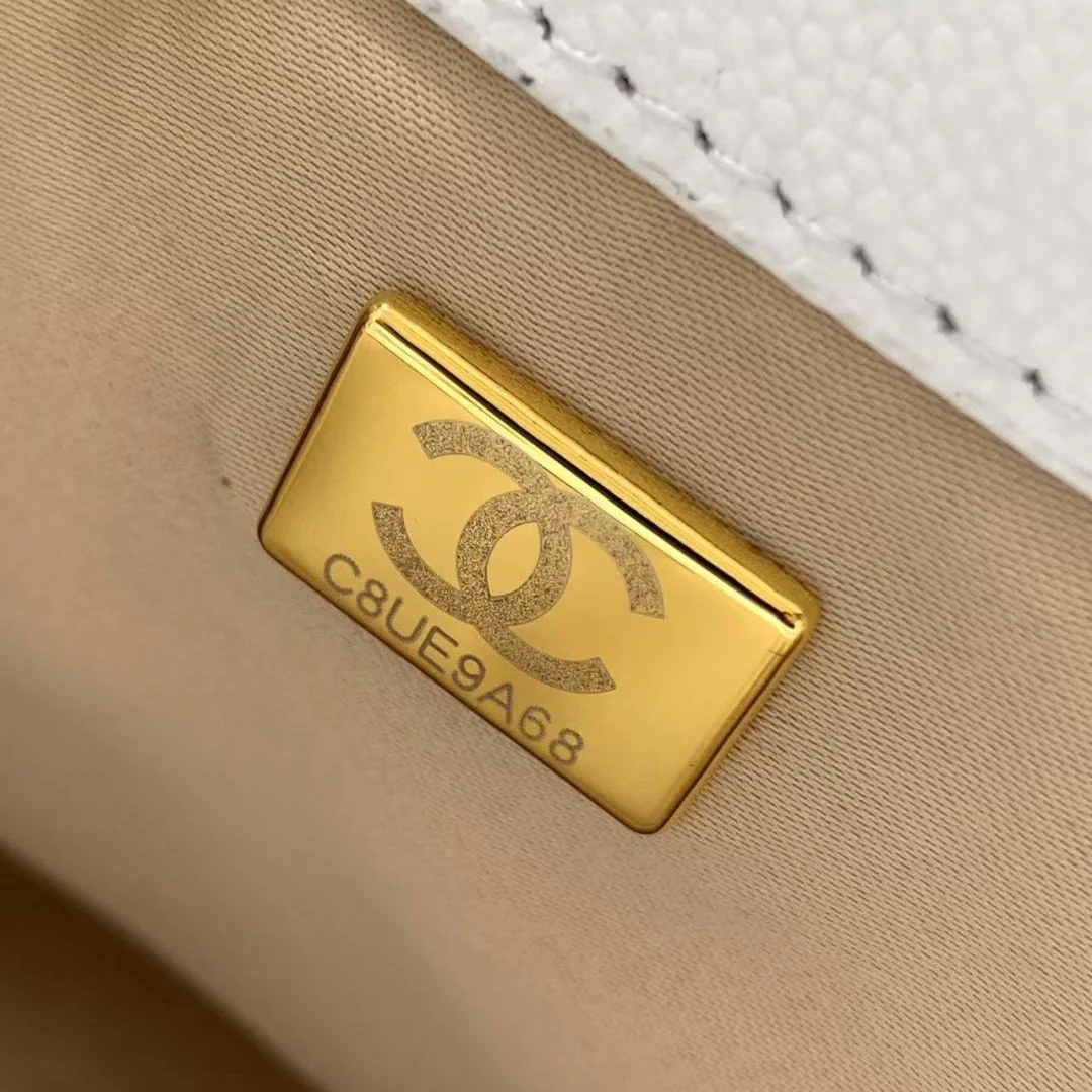 Chanel 25 Small Hobo in White