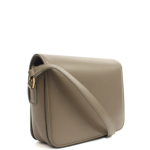 Picture of Celine Cross Body Triomphe - Mini in Grey, Box Calfskin