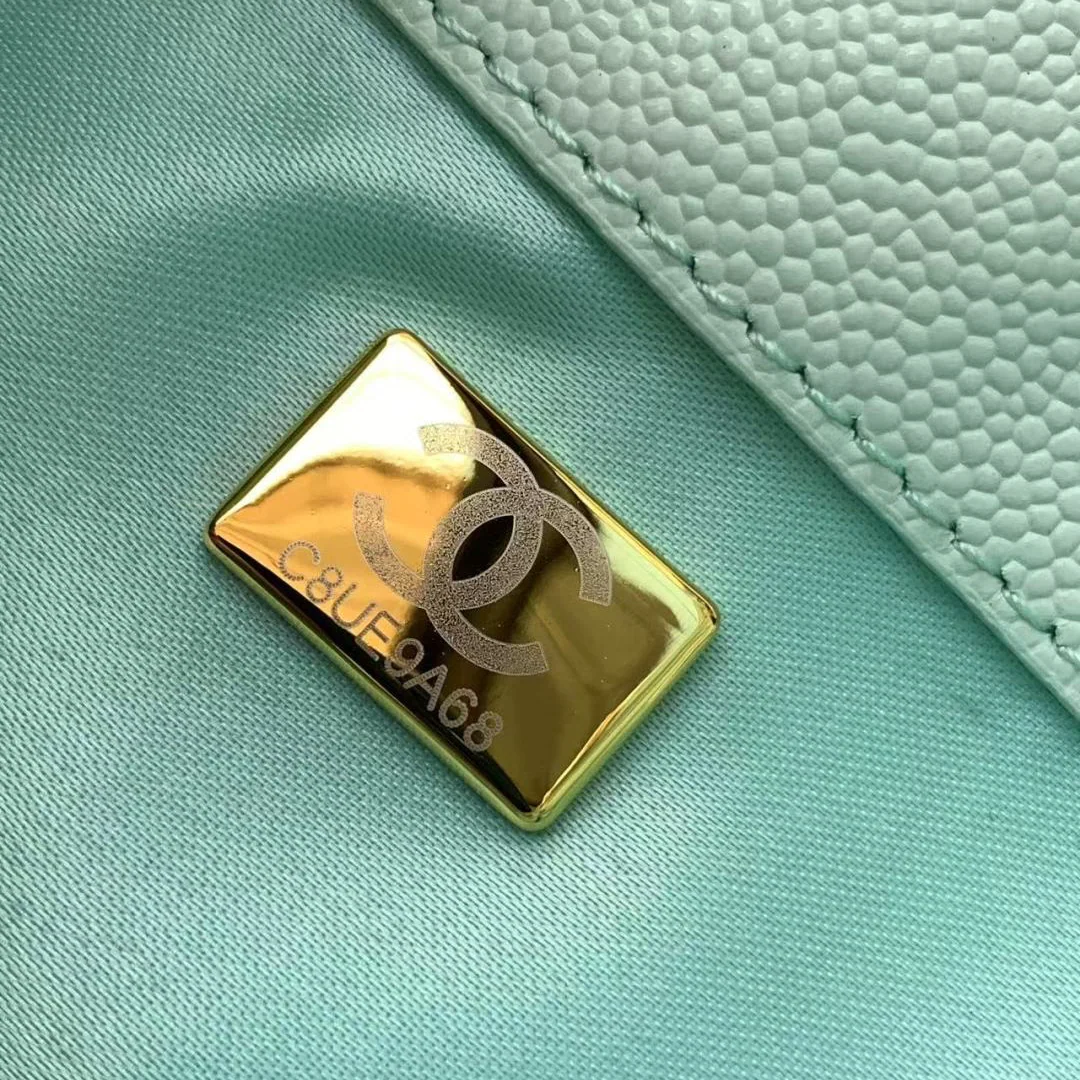 Chanel 25 Small Hobo in Light Green Calfskin