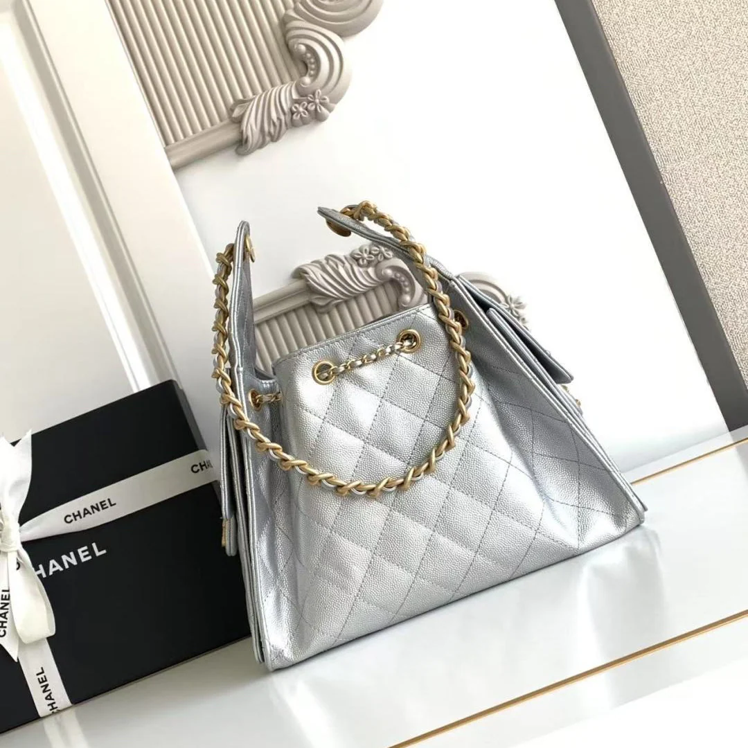 Chanel 25 Small Hobo in Silver
