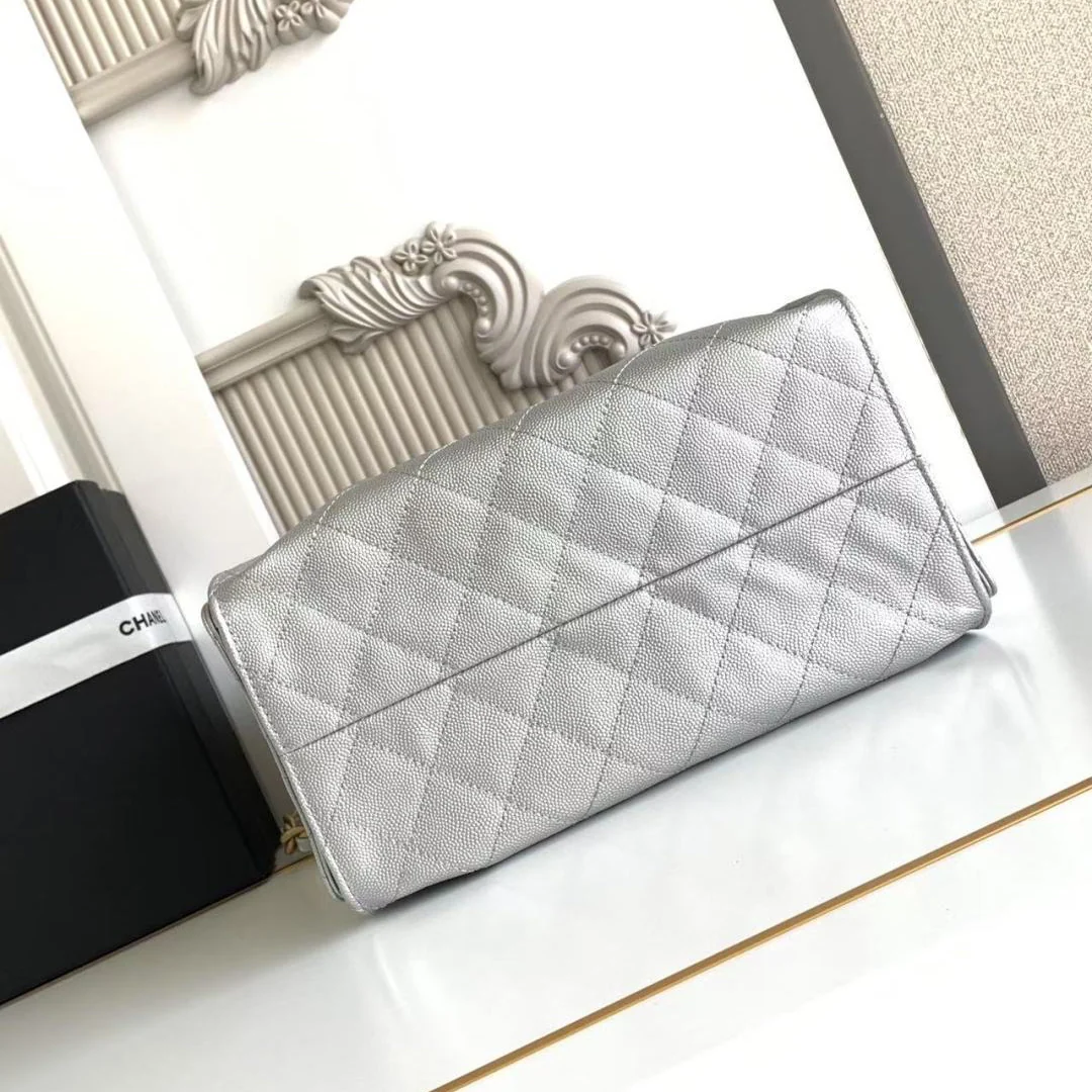 Chanel 25 Small Hobo in Silver
