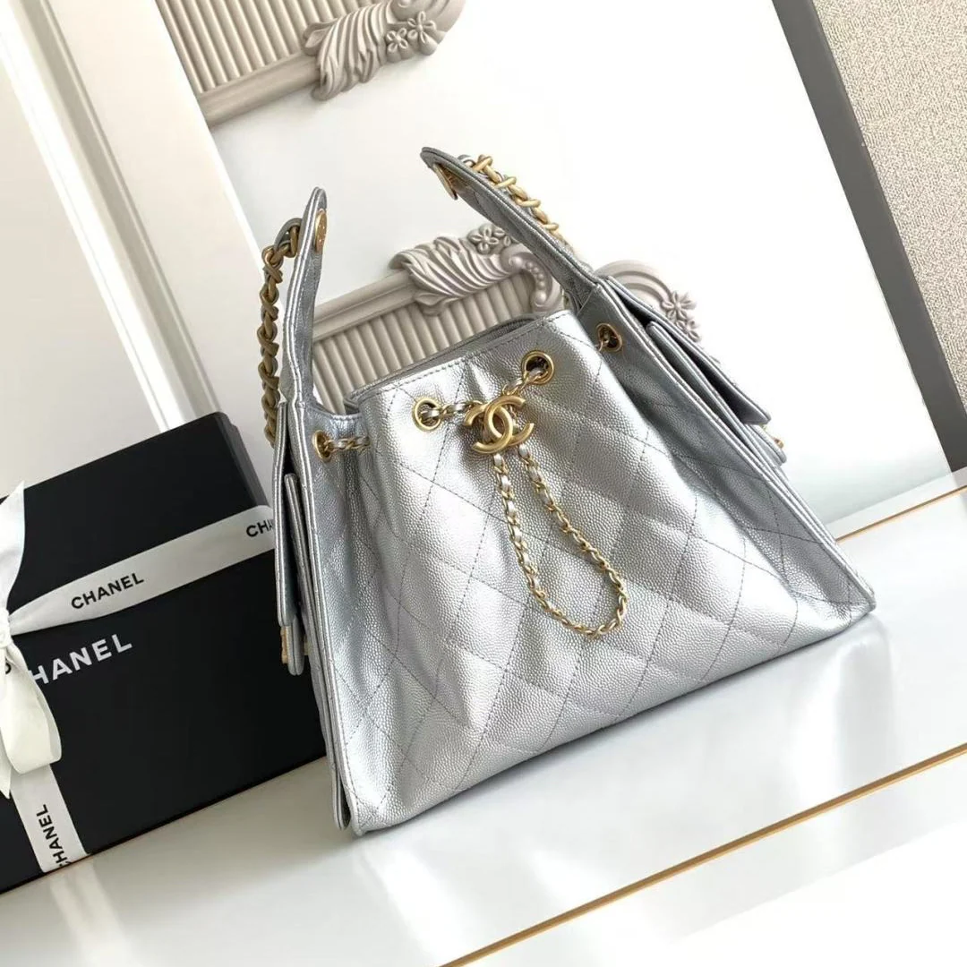 Chanel 25 Small Hobo in Silver