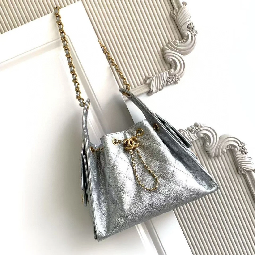 Chanel 25 Small Hobo in Silver