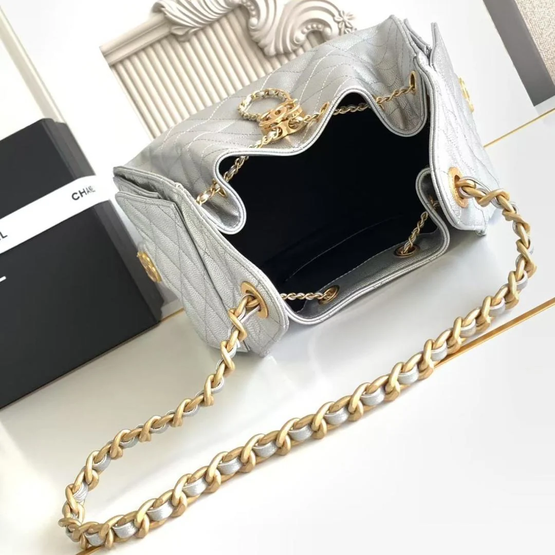 Chanel 25 Small Hobo in Silver