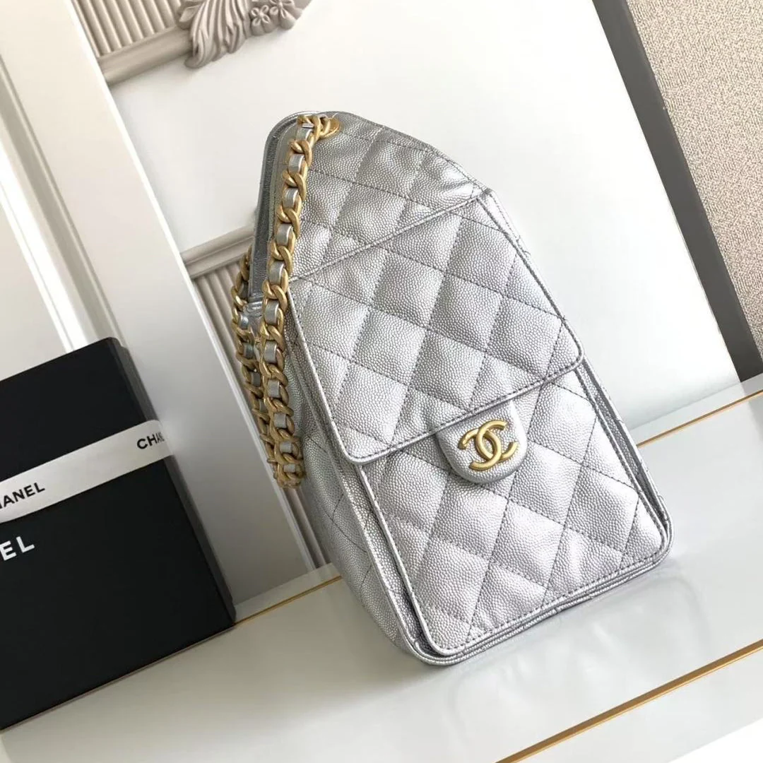Chanel 25 Small Hobo in Silver