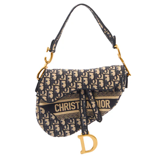 Picture of Christian Dior Shoulder Bag Saddle Bag in Blue, Dior Oblique Embroidery