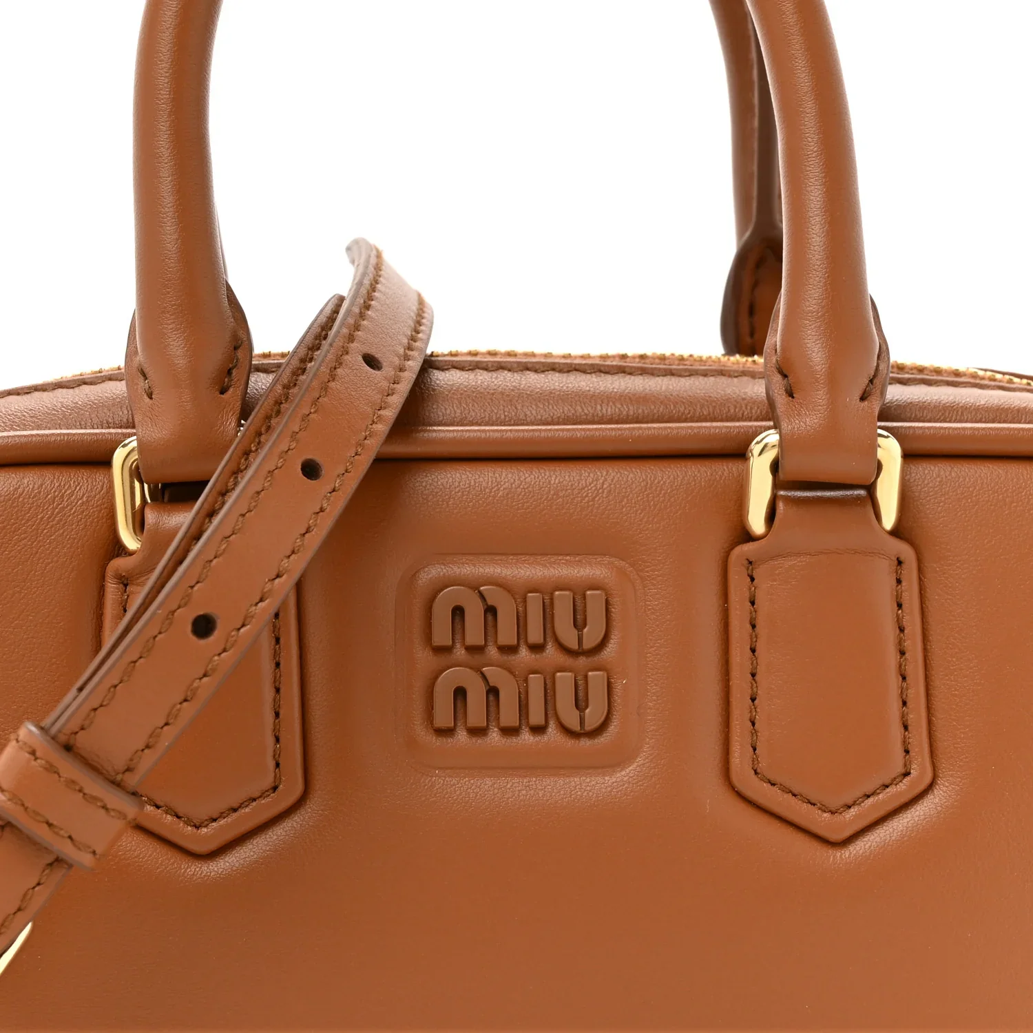 Miu Miu Arcadie  Leather Bag close-up view