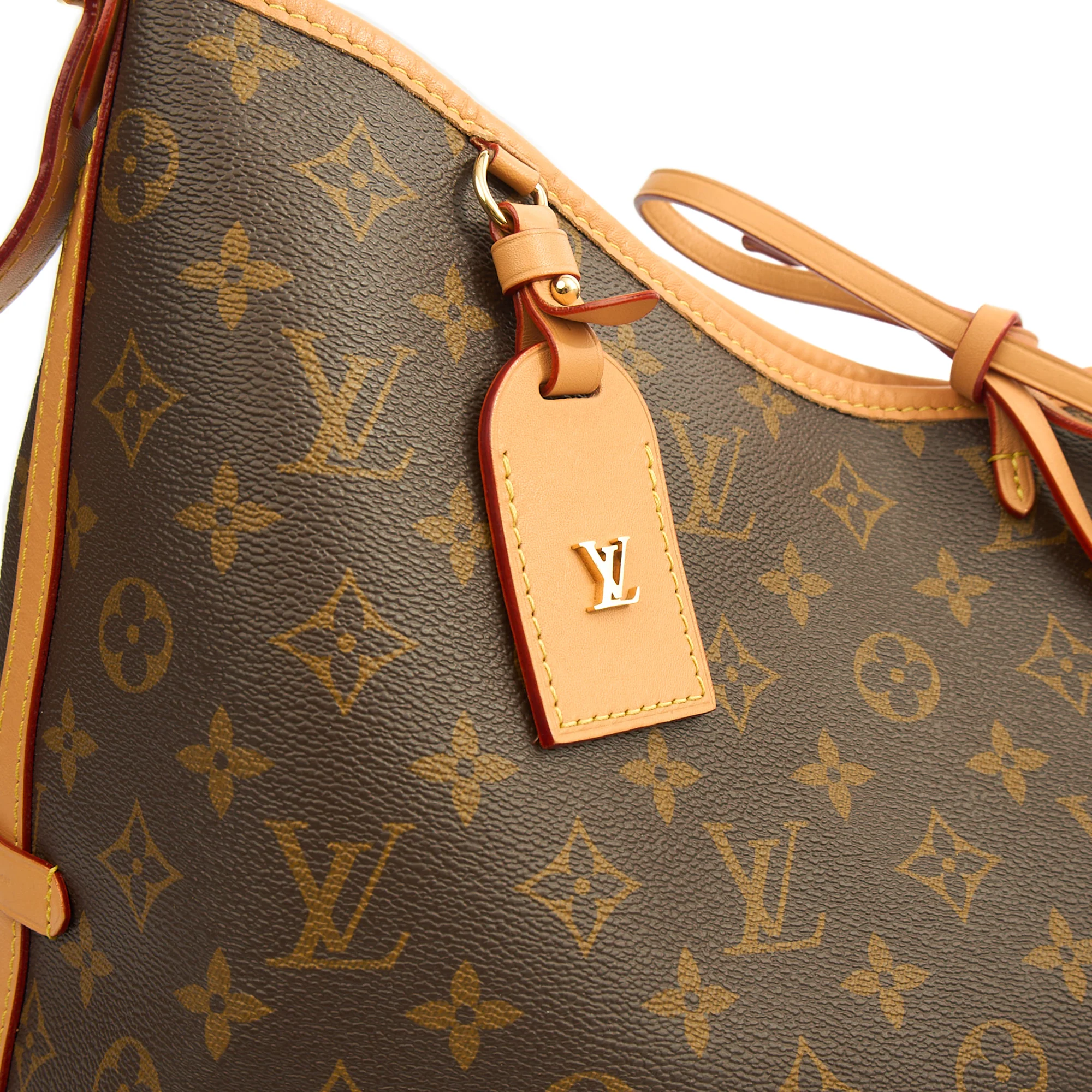 Louis Vuitton CarryAll Vibe MM Bag in Monogram, Canvas