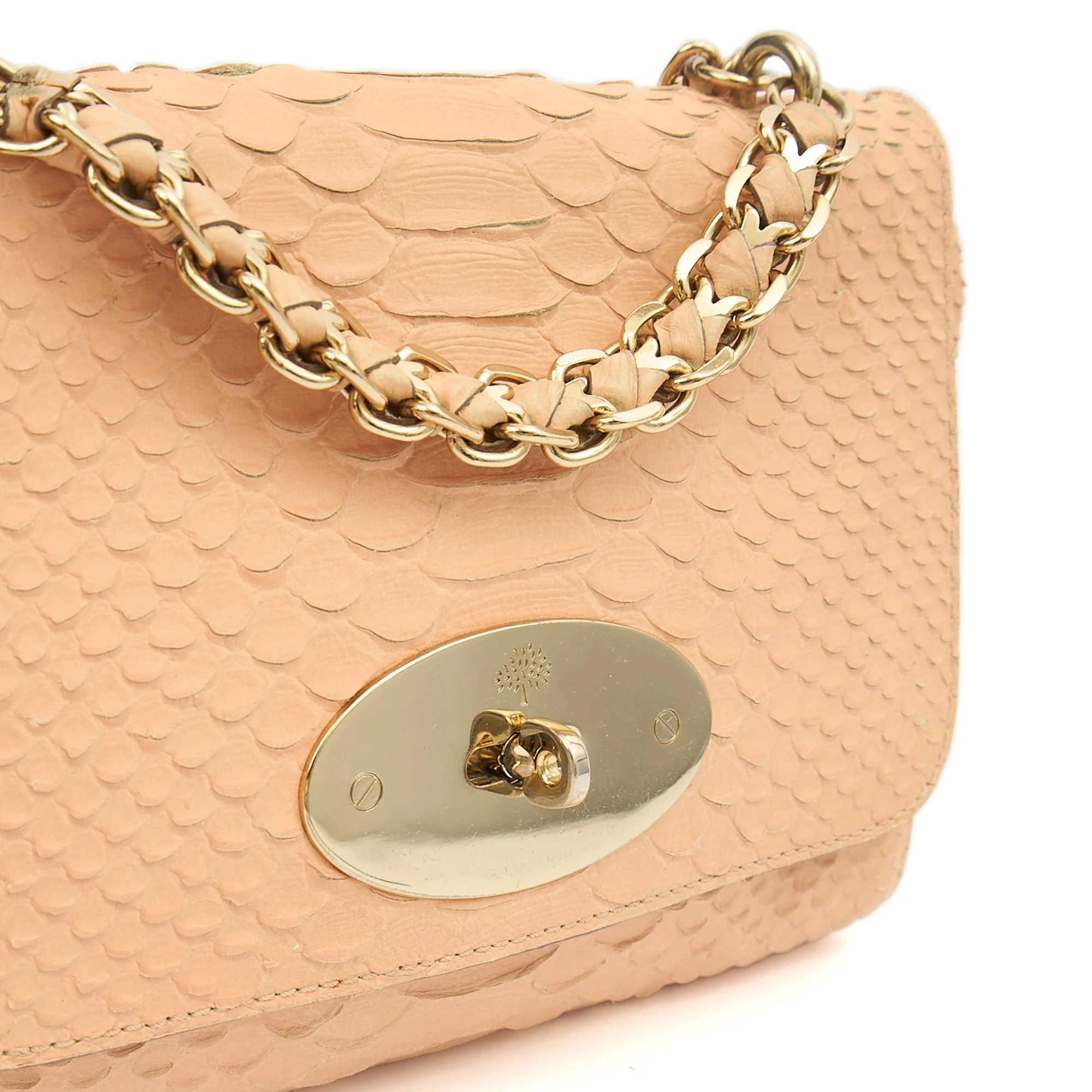 Picture of Mulberry Shoulder Bag Cecily  in Neutral, Exotic Effect Leather