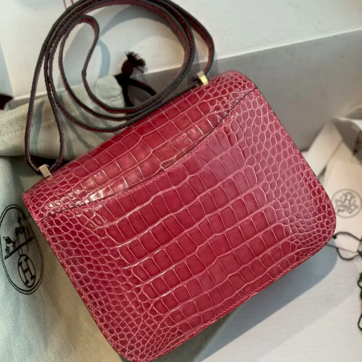 Hermès Constance 18 Red crocodile-embossed leather back view