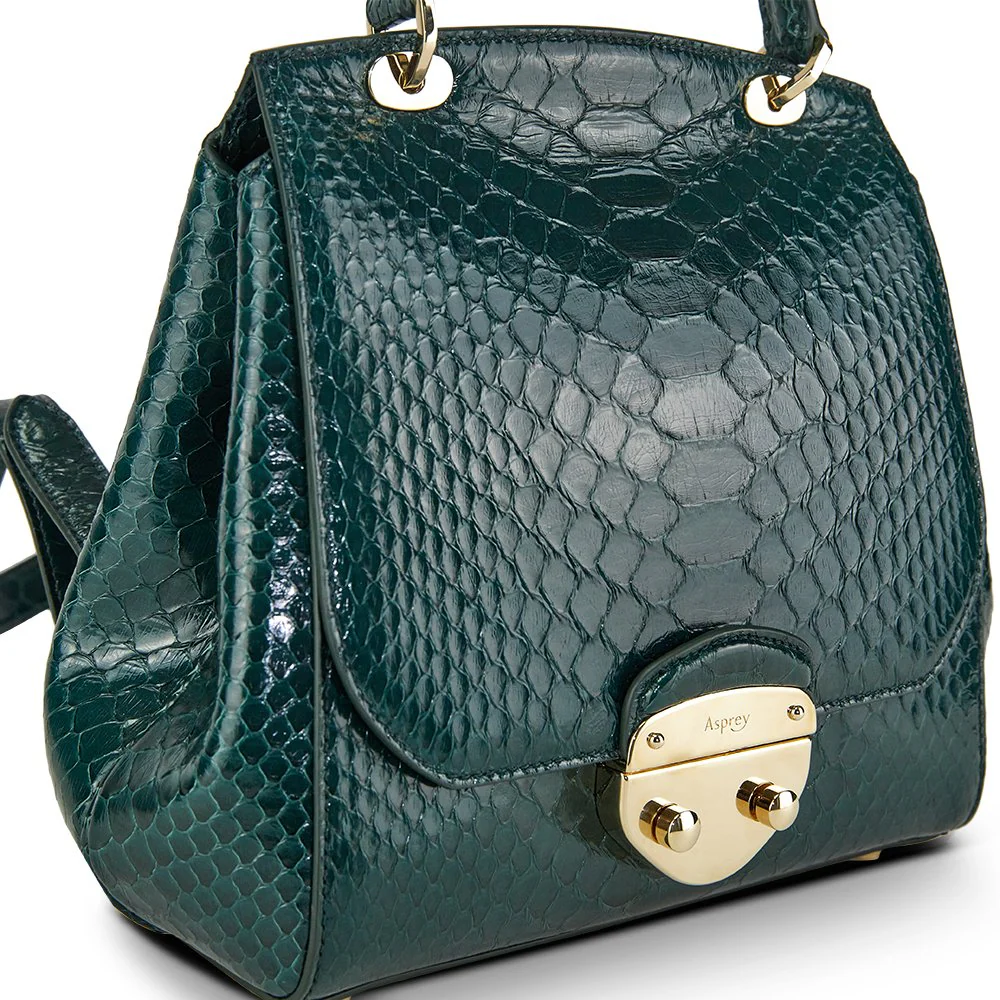 Picture of Asprey Backpack Tote in Green, Exotic
