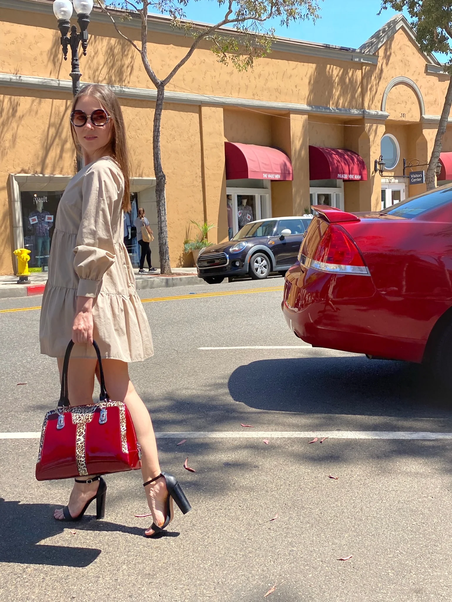 Diana Red Leopard Print Calfskin Handbag lifestyle 2