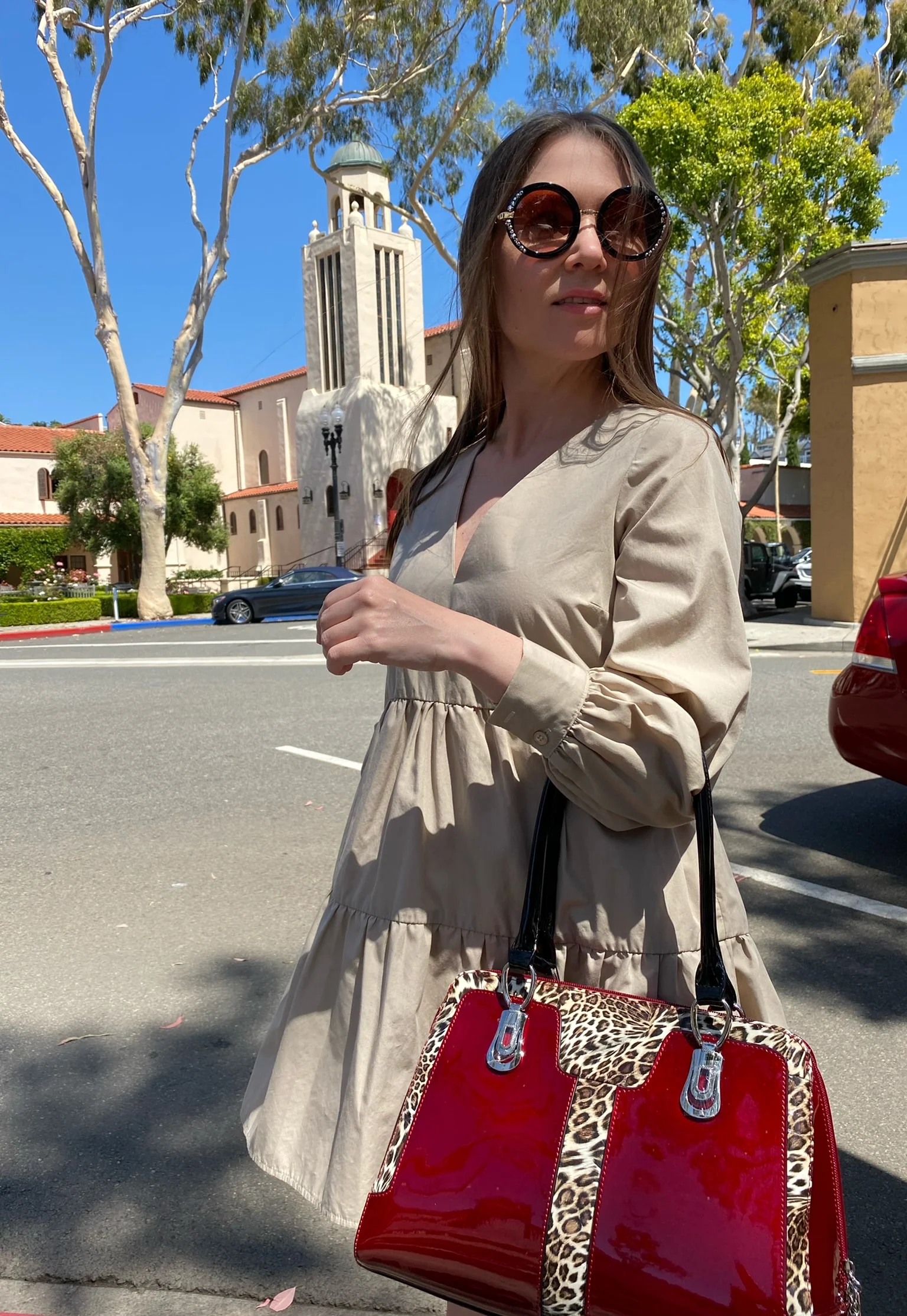 Diana Red Leopard Print Calfskin Handbag lifestyle 3