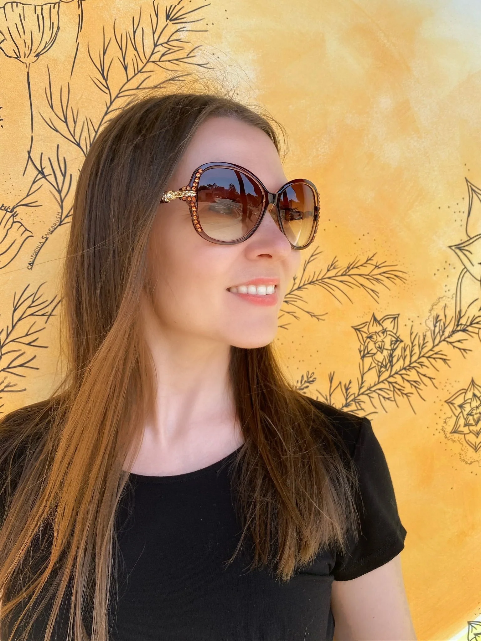Leah S Brown Crystal Gold-Arm Sunglasses (LE192006 BR-B)