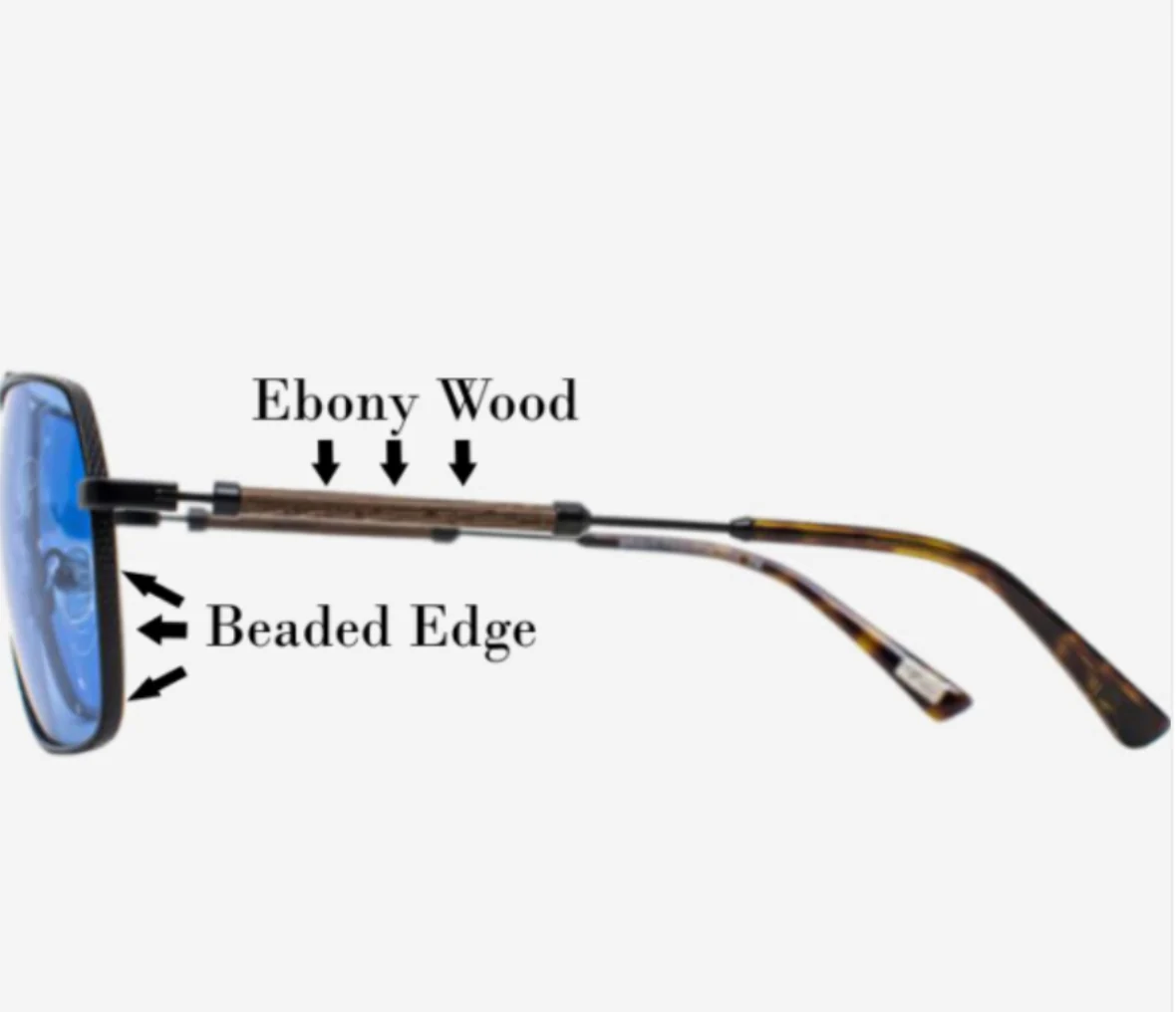 BRAVO LOGO COLLECTION SUNGLASSES BV2002-C3