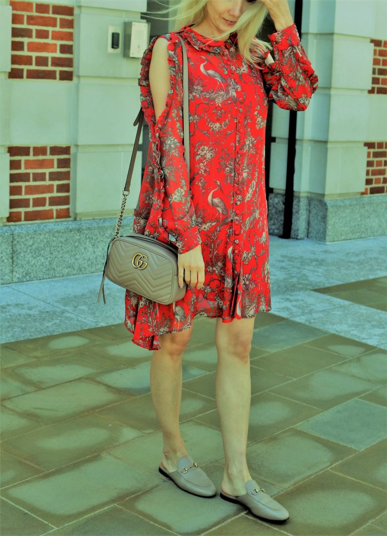 Brown slipper and GG Marmont bag side view