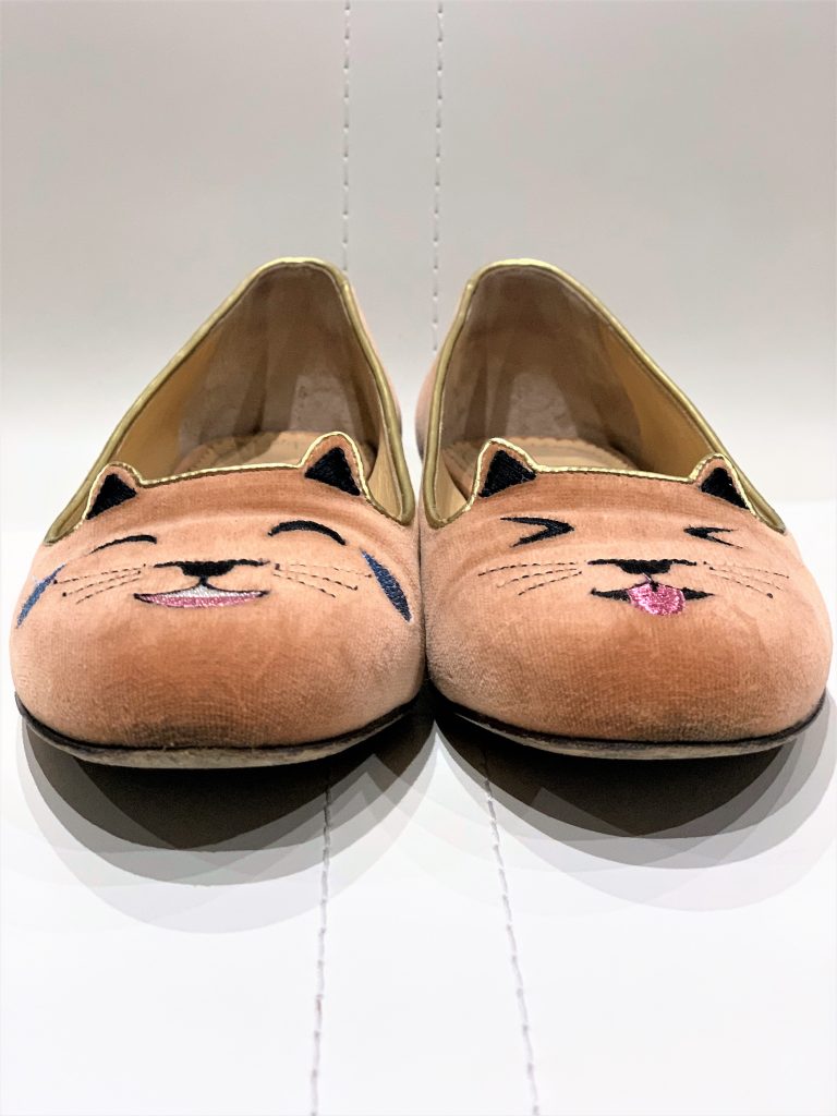 Close up on the front of well used kitty flats