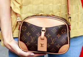 Louis Vuitton Deauville Mini